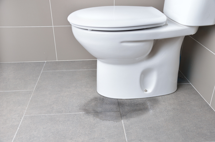 How to Fix a Leaking Toilet